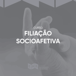Filiação Socioafetiva