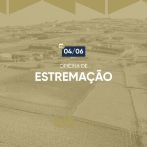 Escritura de Estremação